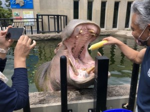 ワードプレスをアップデートしたら改行プラグインbrbrbrがエラーで使えなくなった時の改善方法