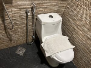 マレーシアのトイレは汚いのか？現地で困らない準備と事情を解説