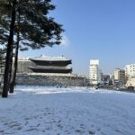 韓国2月上旬はどれくらい寒い？ ソウルの気温・気候と実際に必要だった服装まとめ
