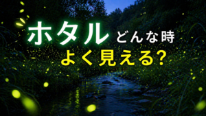 ホタルはどんな時によく見える？天気・気温・時間帯の見えやすい条件を解説