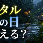 ホタルは雨の日でも見える？観察できる天気・気温・風の条件の違いを解説