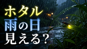 ホタルは雨の日でも見える？観察できる天気・気温・風の条件の違いを解説