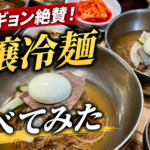 隣の国のグルメイトでソンシギョン絶賛！ユジン食堂の平壌冷麺を食べてみた正直口コミレビュー