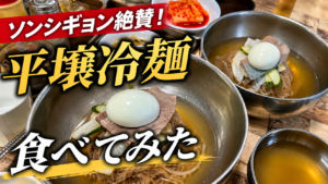 隣の国のグルメイトでソンシギョン絶賛！ユジン食堂の平壌冷麺を食べてみた正直口コミレビュー