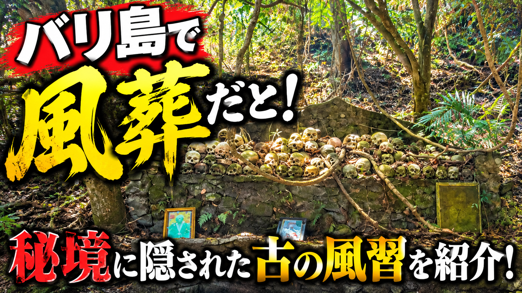 バリ島の穴場!トルニャン村の風葬墓地へ行ってきた|行き方・料金・現地の様子を紹介